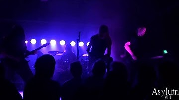 Asylum 8 - Weak Denied (Music Video)