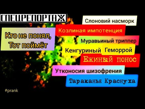 Ежиный понос Кенгуриный геморрой  Тараканья краснуха • Костя Снурницын