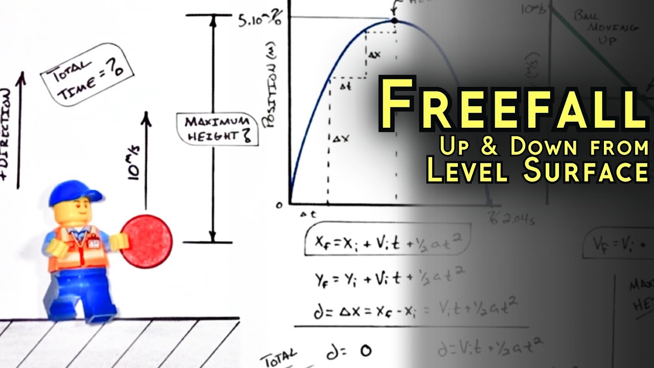 Find Maximum Height & Time of Ball Tossed Upward | Graphing Freefall