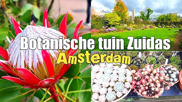Botanische Tuin Zuidas | Botanical Garden | Amsterdam | Netherlands | 4K UHD