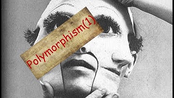 OOP with JAVA  | Polymorphism [1]