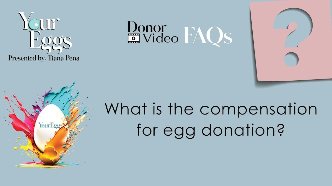 How Much Do You Get Paid For Donating Your Eggs? | Egg Donation Compensation