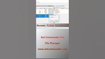Rename Extension of Multiple Files on Windows #filemanager #rename #files