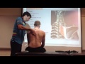 Rhomboid manual therapy palpation and stretch