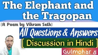 The elephant and the tragopan question and answers