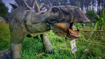 Kumpulan Dinosaurus di DINO LAND Dlas Serang Purbalingga Jawa Tengah