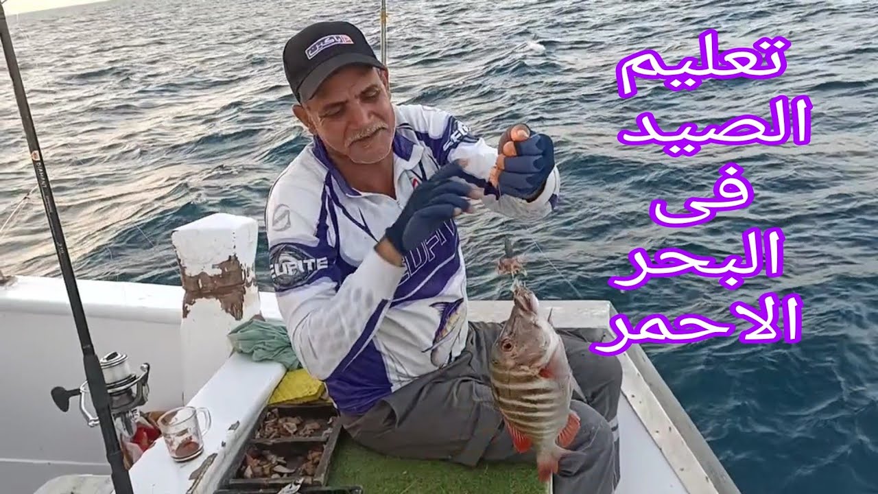 تعليم صيد السمك فى البحر الاحمر