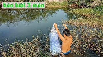 BÁN LƯỚI BẮT CÁ 3 MÀN, lưới thái, không chạy mặt lưới giao hàng toàn quốc