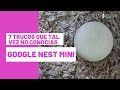 GOOGLE NEST MINI TRUCOS