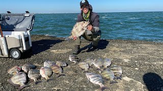 So MANY FISH!!! NON STOP ACTION surfside jetty fishing. Texas spring fishing for dinner !!!