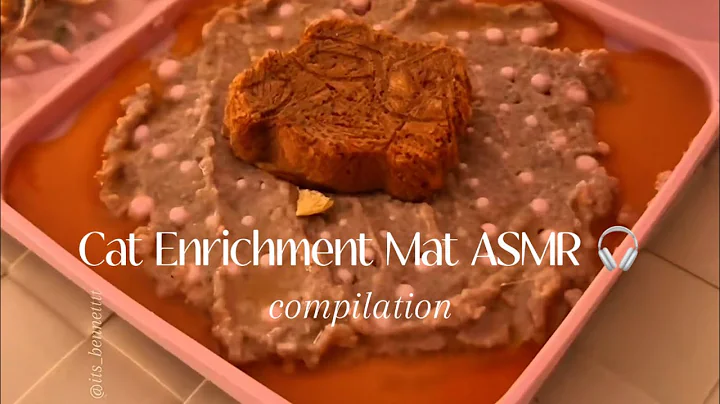 Watch the video about Spoiling My Ragdoll Cat With Enrichment Mats 🐾 | Relaxing Pet ASMR Compilation 🎧