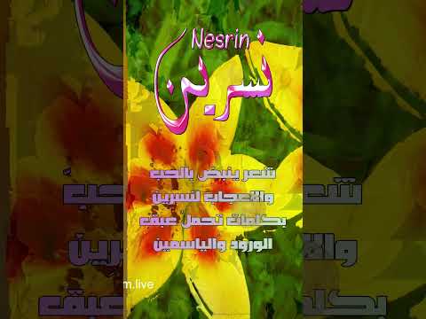 ابيات شعر باسم نسرين 
