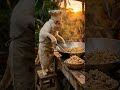 Chef Cat’s Secret Shrimp Fried Rice Recipe! 🐾🔥