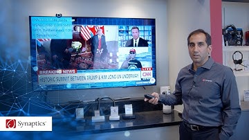 Synaptics Smart Edge AI™ - Logo Detection