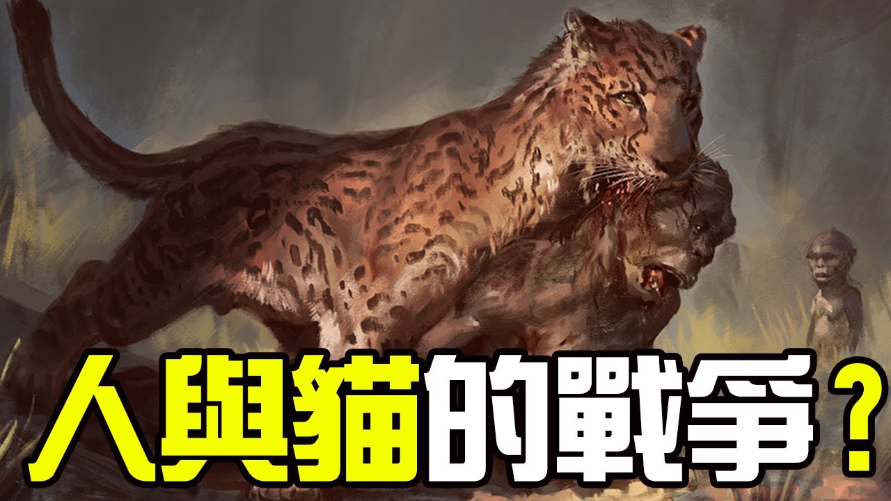 恐猫,巨颏虎:遠古人類與貓科動物的殘酷血腥鬥爭早就在非洲大陸上打響丨非洲篇丨冰河世紀 - YouTube