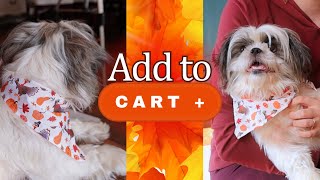Thanksgiving Bandanas: Your Dog Will Be Sweeter Than Pie by Busy With Dogs 53 views 6 months ago 6 minutes, 8 seconds