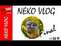 NeKo Vlog - Final