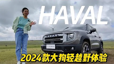 分秒試駕：2024款哈弗大狗，動力升級、前臉美顏的感覺如何？ - 天天要聞