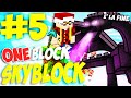 ONEBLOCK SKYBLOCK SU MINECRAFT - FINALE !! #5