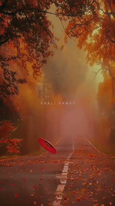 JAANE KYON MEIN SOCHTA HOON KHALI SAMAY EK RASTA HU TUNE MUJHE KAHI KHO jaane-kyon-mein-sochta-hoon-khali-samay-ek-rasta-hu-tune-mujhe-kahi-kho
