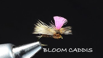Bloom Caddis By Charlie Craven