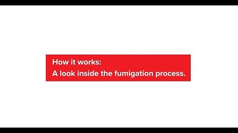 The fumigation process: Tackling termite troubles | Rentokil
