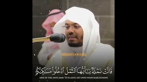 قَالَتْ نَمْلَةٌ يَا أَيُّهَا النَّمْلُ ادْخُلُوا مَسَاكِنَكُمْ . تلاوة الشيخ د. ياسر الدوسري 🎙