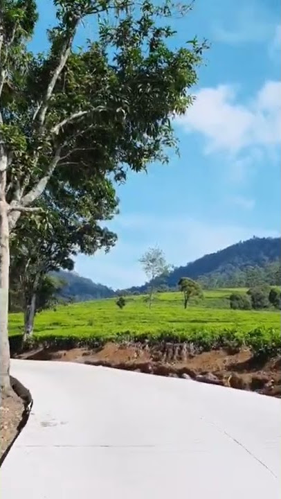 Cinematic Jalan | Cinematik 30 Detik | Story Wa Keren | Aesthetic Alam  | #aesthetic  #shorts