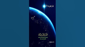 وَإِذْ قَالَ إِبْرَاهِيمُ رَبِّ أَرِنِي كَيْفَ تُحْيِي الْمَوْتَىٰ  _ القارئ محمد ديبيروف _ البقرة