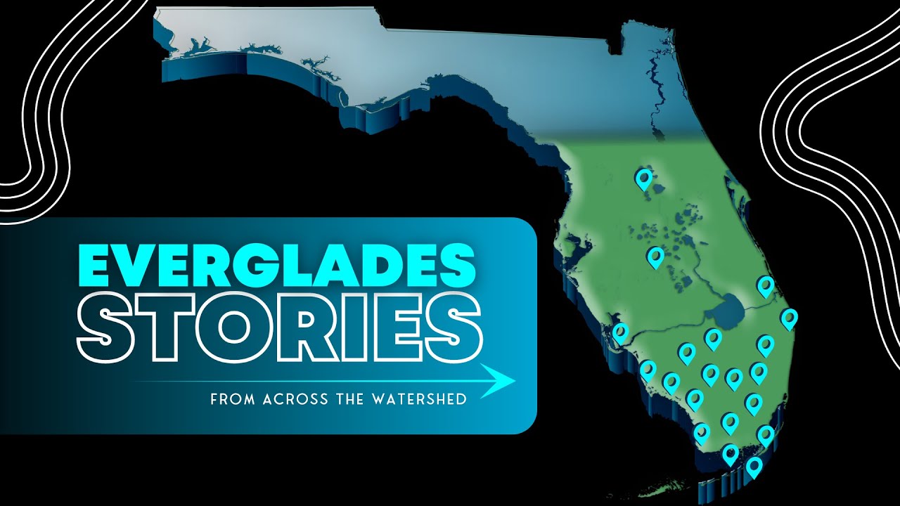 Everglades Stories From Across The Watershed