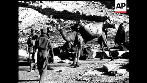 Gabes, Akarit & Onwards - NO SOUND