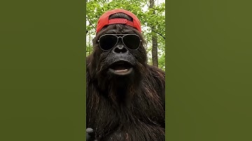 You Won’t Believe Who’s Fixing Old Computers!