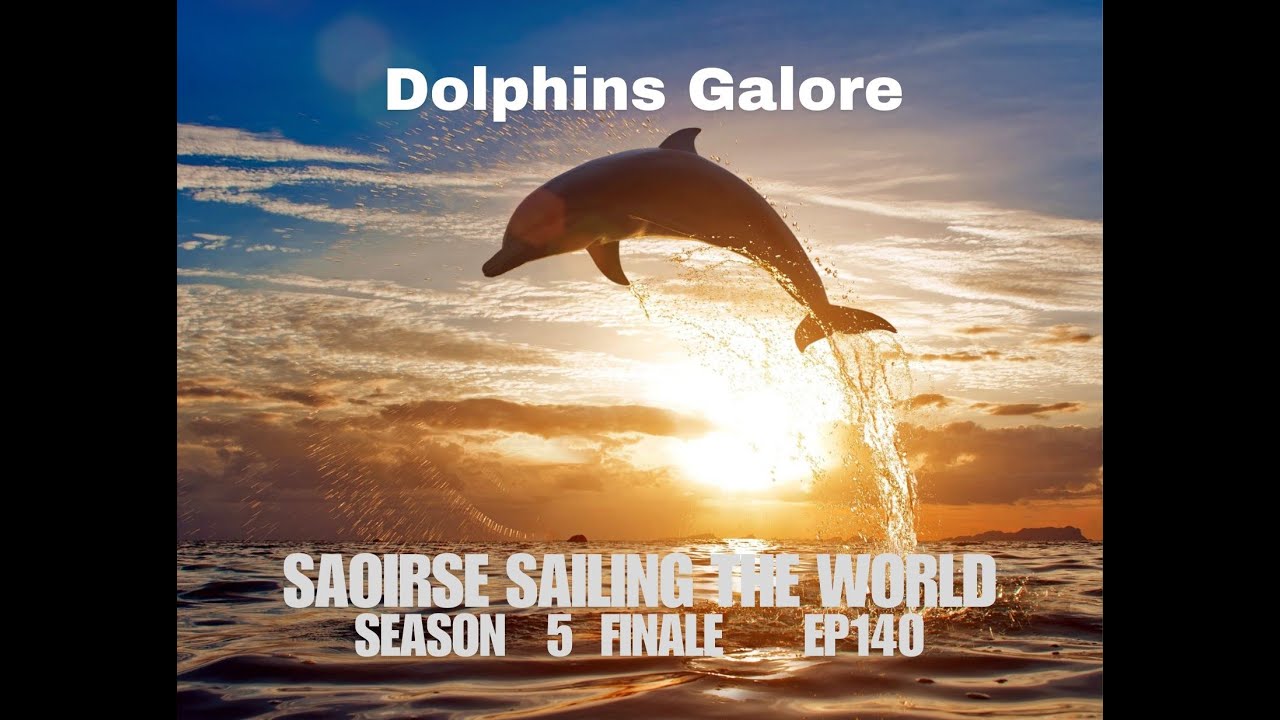 Saoirse Sailing the World ep 140 S5 Super Dolphins