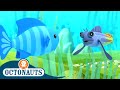Octonauts - Combtooth Blenny and The Oarfish | Cartoons for Kids | Underwater Sea Education
