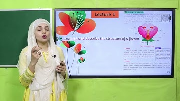 Science Grade 5 Unit 3 Lecture Introduction || SNC 2020 ||