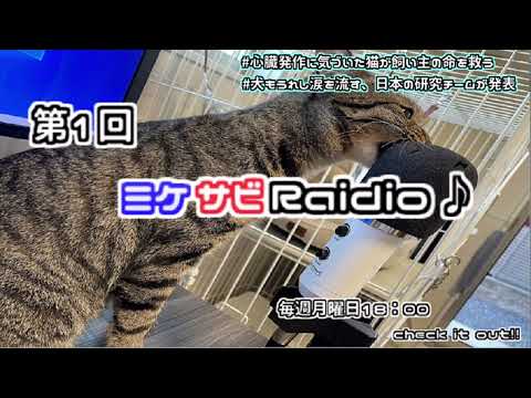 記念すべき第１回【ミケサビRaidio】動物に関するニュースを紹介！！動物好き集まれ！
