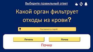 Проверь свои знания! Викторина из 30 вопросов 🧠
