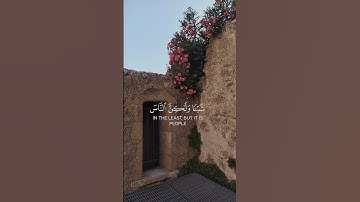 |سورة يونس|القارئ عبدالرحمن مسعد