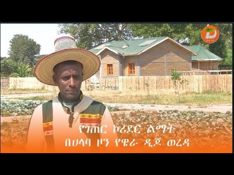 በአካባቢያቸው የተከናወነው የገጠር ኮሪደር ልማት ህይወታቸውን ወደ አዲስ ምእራፍ በማሻገር የተሻለ ኑሮ እንዲመሩ ማድረጉን በሀላባ ዞን የዌራ ዲጆ ወረዳ