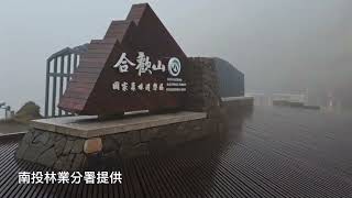 合歡山短暫降冰霰 落地融化未見明顯累積[影]