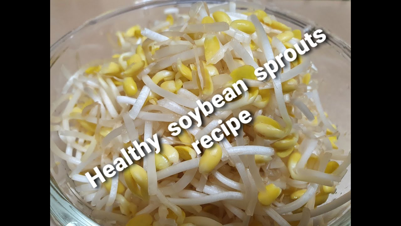 Episode17Soybean Sprout Pancake recipeMOM'sSpicyUp Cooking YouTube