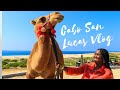 Cabo San Lucas Vlog! |  Cabos, Mexico 🇲🇽 | RIDING ATVS & CAMELS, & BOAT RIDE