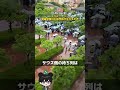 【速報】2026年5月22日(金)ディズニーシー雨の日の短縮営業も修学旅行生が多すぎて混雑! #ディズニー混雑状況