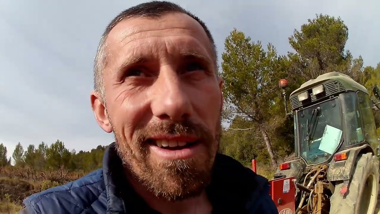 Price iz vinograda -Prva rezidba vinograda