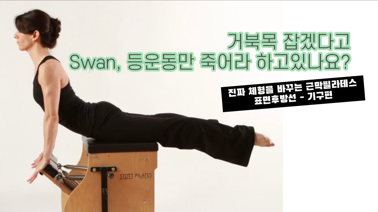 거북목, 과전만, 백니에 좋은 근막필라테스  (표면후방선, 동작소개, 큐잉tip)