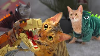 Dino Cats from Jurassic WorldㅣDino cat by DINO CAT 4,081 views 1 year ago 10 minutes, 50 seconds