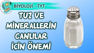 Tuz Ve Minerallerin Canlılar İçin Önemi 9.Sınıf Biyoloji