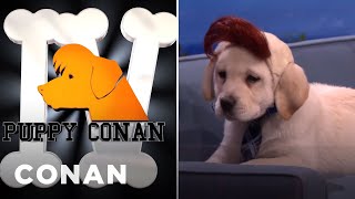 Puppy CONAN IV Goes Off The Rails | CONAN on TBS