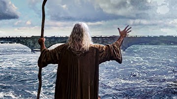 スティーヴ・カレルの神から与えられた使命（『エバンオールマイティ』名場面集）|  エバン・オールマイティ | 映画シーン 🌀 4K