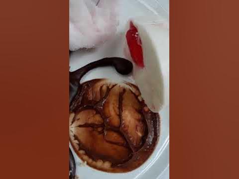 Силвия Йорданова - YouTube
